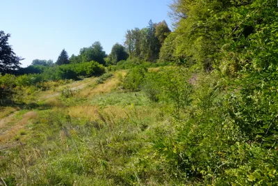 Grundstück kaufen in Klagenfurt Land – 19 000 m², € 14.000.000 – Bild 4 von 6