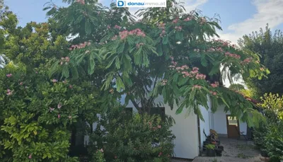 7-Zimmer-Haus kaufen in Korneuburg – 162,57 m², € 675.000 – Bild 8 von 31