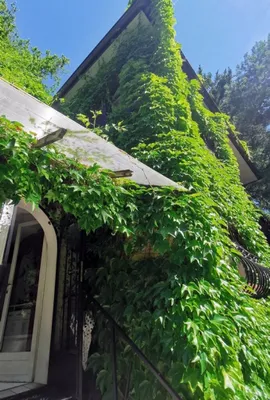 3-Zimmer-Haus kaufen in Sankt Pölten Land – 146 m², € 590.000 – Bild 7 von 53
