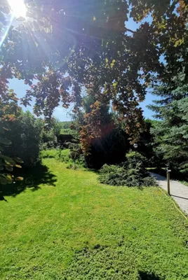 3-Zimmer-Haus kaufen in Sankt Pölten Land – 146 m², € 590.000 – Bild 2 von 53