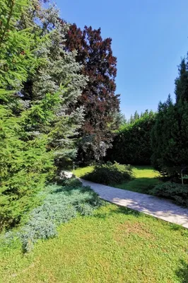 3-Zimmer-Haus kaufen in Sankt Pölten Land – 146 m², € 590.000 – Bild 10 von 53