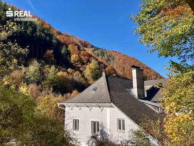 11-Zimmer-Immobilie kaufen in Waidhofen an der Ybbs – 290 m², € 598.000 – Bild 4 von 26