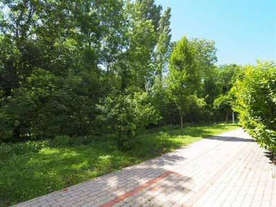 3-Zimmer-Wohnung kaufen in Baden – 70,72 m², € 280.000 – Bild 4 von 29