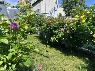 3-Zimmer-Wohnung mieten in Tulln – 75,55 m², € 908 – Bild 5 von 10