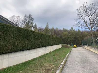 Grundstück kaufen in Tulln – 938 m², € 349.000 – Bild 4 von 4