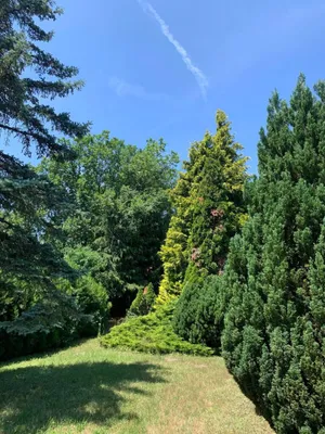 Grundstück kaufen in Korneuburg – 1 146 m², € 975.000 – Bild 14 von 15
