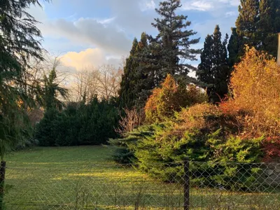 Grundstück kaufen in Korneuburg – 1 146 m², € 975.000 – Bild 5 von 15