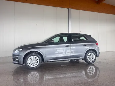 Skoda Fabia 1.0 TSI Selection OPF (EURO 6e)