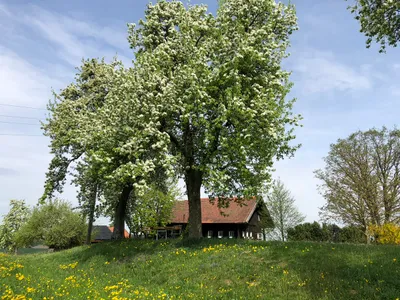 6-Zimmer-Haus kaufen in Ried im Innkreis – 220 m², € 790.000 – Bild 6 von 15