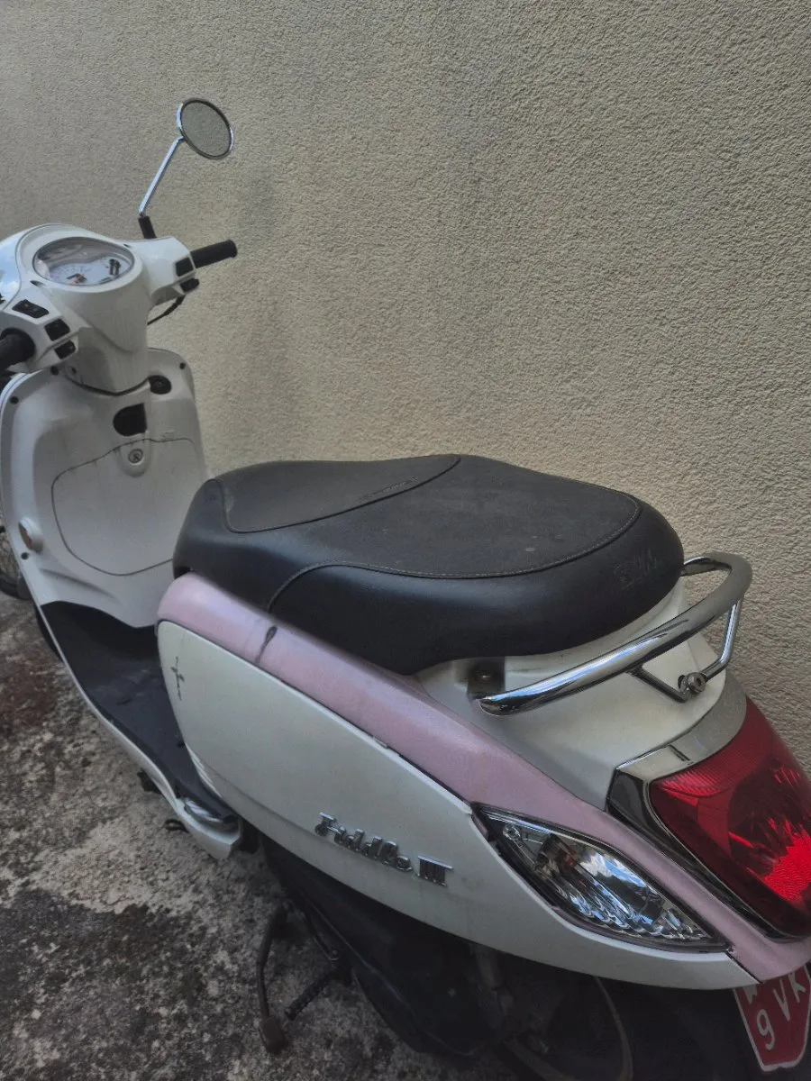 Sym Fiddle III 50 Moped / Mofa - willhaben