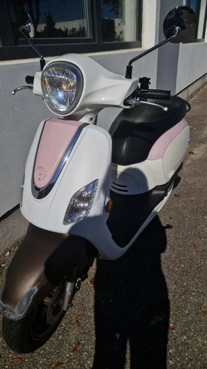 Sym Fiddle III 50 Moped / Mofa - willhaben
