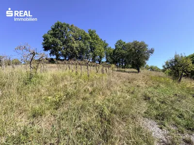 Grundstück kaufen in Leibnitz – 21 311 m², € 826.000 – Bild 8 von 9