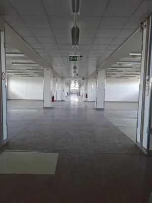 Gewerbeimmobilie mieten in Wien – 2 968 m², € 26.994 – Bild 7 von 12