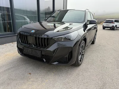 BMW X1 xDrive20d 48V Aut. M Sport Pro AHK Vollausst...