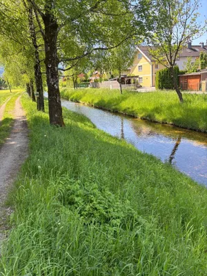 Grundstück kaufen in Salzburg Stadt – 600 m², € 710.000 – Bild 5 von 6