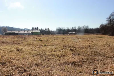 Immobilie kaufen in Güssing – 7 986 m² – Bild 5 von 6