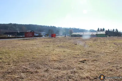 Immobilie kaufen in Güssing – 7 986 m² – Bild 3 von 6