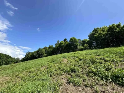 Gewerbeimmobilie kaufen in Deutschlandsberg – 1 847 m², € 199.000 – Bild 9 von 12