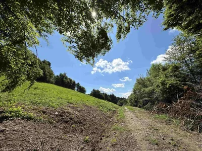 Gewerbeimmobilie kaufen in Deutschlandsberg – 1 847 m², € 199.000 – Bild 11 von 12