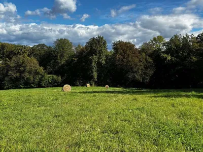 Grundstück kaufen in Südoststeiermark – 946 m², € 43.516 – Bild 4 von 7