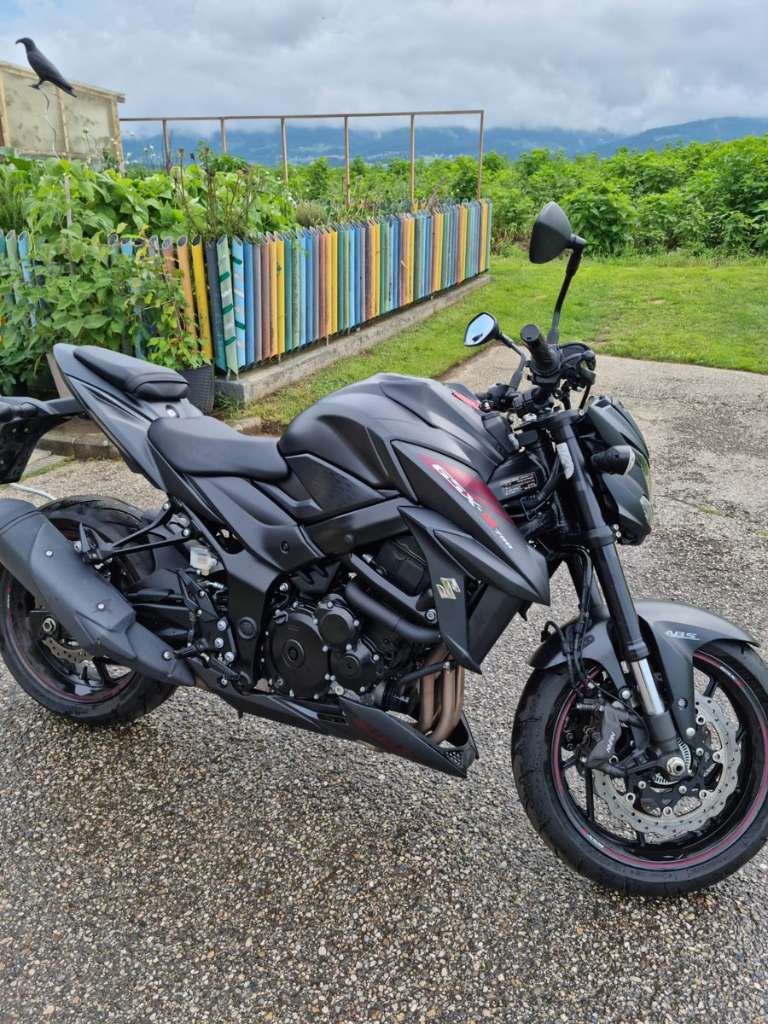 Suzuki GSX Naked Bike Willhaben