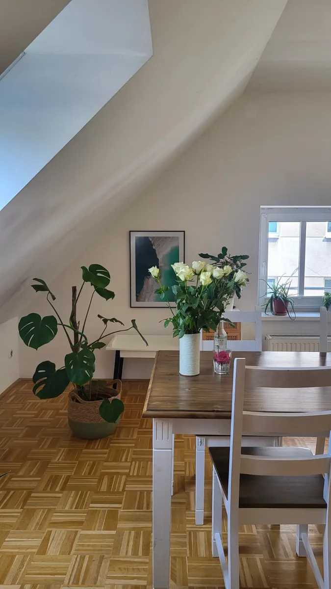 Dachgeschosswohnung in der Linzer Innenstadt - OHNE PROVISION! - Ansicht 3