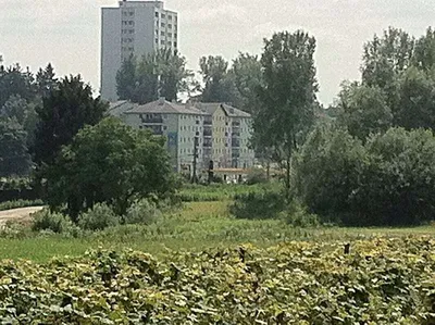 8-Zimmer-Gewerbeimmobilie kaufen in Linz Land – 320 m², € 369.000