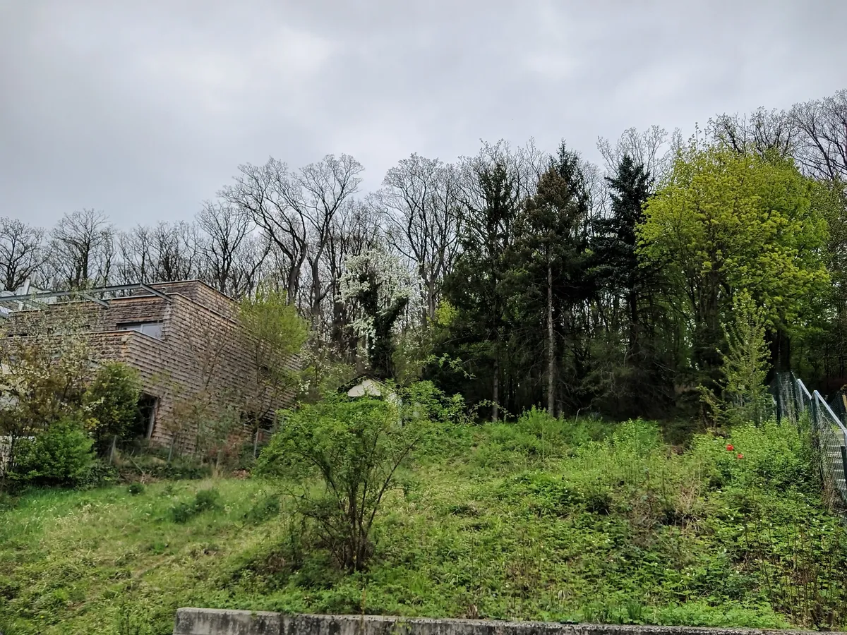 Gelegenheit: Baugrundstück in idyllischer Waldrandlage! – pohled 3