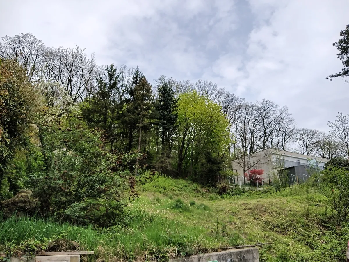 Gelegenheit: Baugrundstück in idyllischer Waldrandlage! – pohled 2