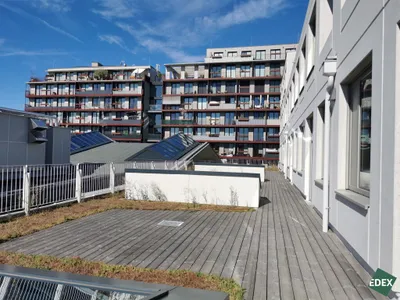 Gewerbeimmobilie mieten in Wien – 505 m², € 16