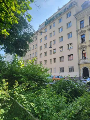 1-Zimmer-Wohnung mieten in Wien – 40 m², € 725 – Bild 3 von 15
