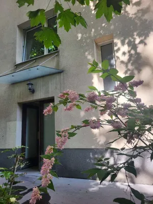 1-Zimmer-Wohnung mieten in Wien – 40 m², € 725 – Bild 4 von 15