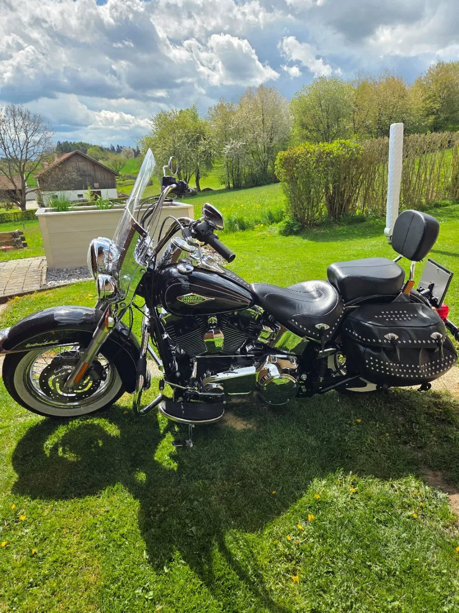 Harley-Davidson Softail