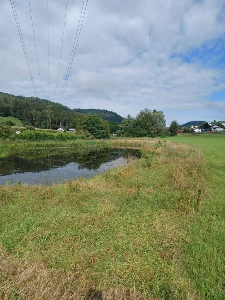 Schönes, ebenes Grundstück zur Freizeitgestaltung mit großem Teich, PROVISIONSFREI - ca. 14.170 m² - Veduta 3