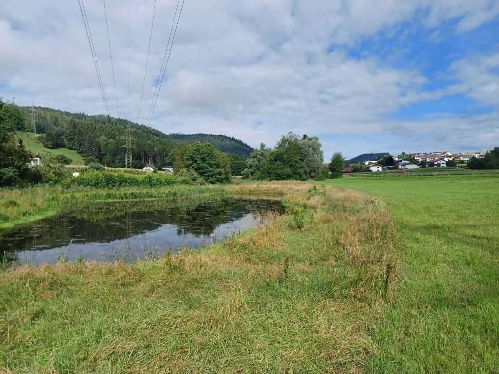 Schönes, ebenes Grundstück zur Freizeitgestaltung mit großem Teich, PROVISIONSFREI - ca. 14.170 m² - Veduta 2