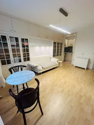 Top-Lage, schönes helles Apartment zu vermieten im 1. Bezirk