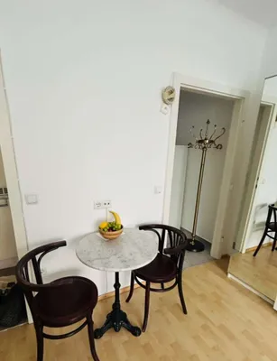 Top-Lage, schönes helles Apartment zu vermieten im 1. Bezirk – Bild 3