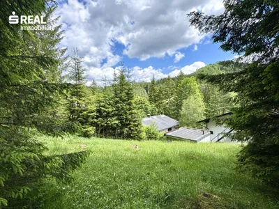 3-Zimmer-Haus kaufen in Lilienfeld – 85 m², € 167.000 – Bild 7 von 21