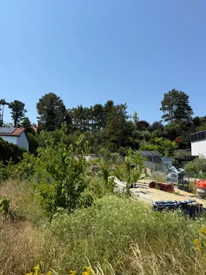 Grundstück zum Kauf in 2326 Bruck an der Leitha