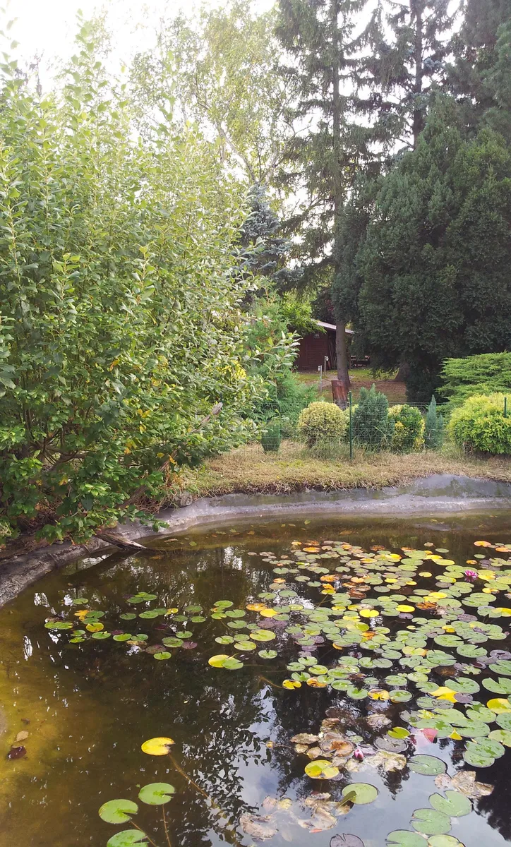 Bungalow mit großem Wintergarten, Sauna, Garage und Gartenanlage - Ansicht 2