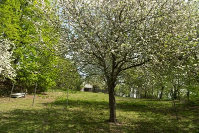 7-Zimmer-Immobilie kaufen in Wiener Neustadt Land – 238 m², € 445.000 – Bild 7 von 34