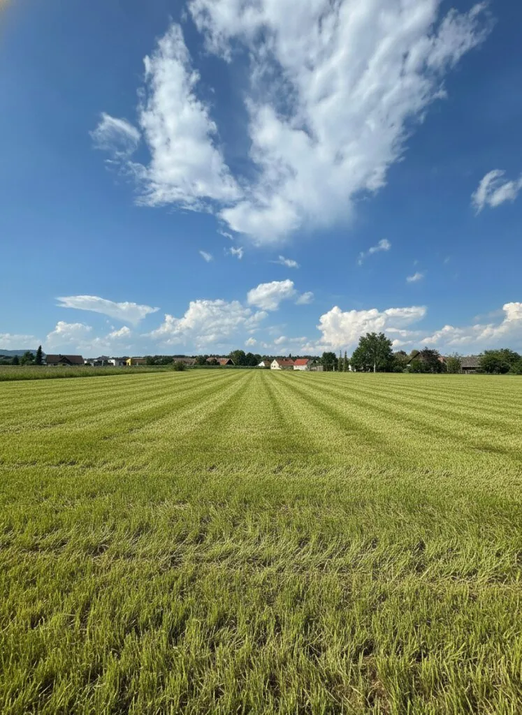 BAUGRUNDSTÜCKE IN OBERGRALLA I WA 0,2-0,4 I BIS ZU 346 M² BRUTTOGESCHOSSFLÄCHE MÖGLICH I ROTO IMMOBILIEN - Ansicht 3