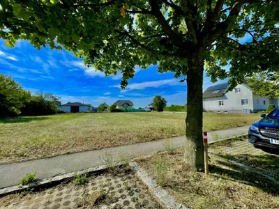 Grundstück kaufen in Gänserndorf – 2 635 m², € 990.000 – Bild 6 von 15