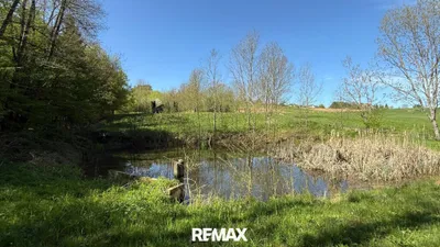 Immobilie kaufen in Güssing – 5 838 m², € 88.000 – Bild 7 von 16