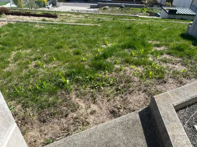 Grundstück kaufen in Mattersburg – 1 060 m², € 88 – Bild 4 von 10