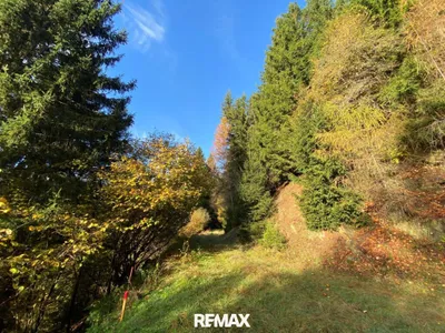 Immobilie kaufen in Spittal an der Drau – 23 054 m², € 96.000 – Bild 2 von 6