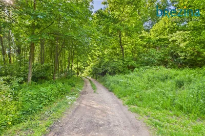 Grundstück kaufen in Korneuburg – 953 m², € 550.000 – Bild 14 von 28