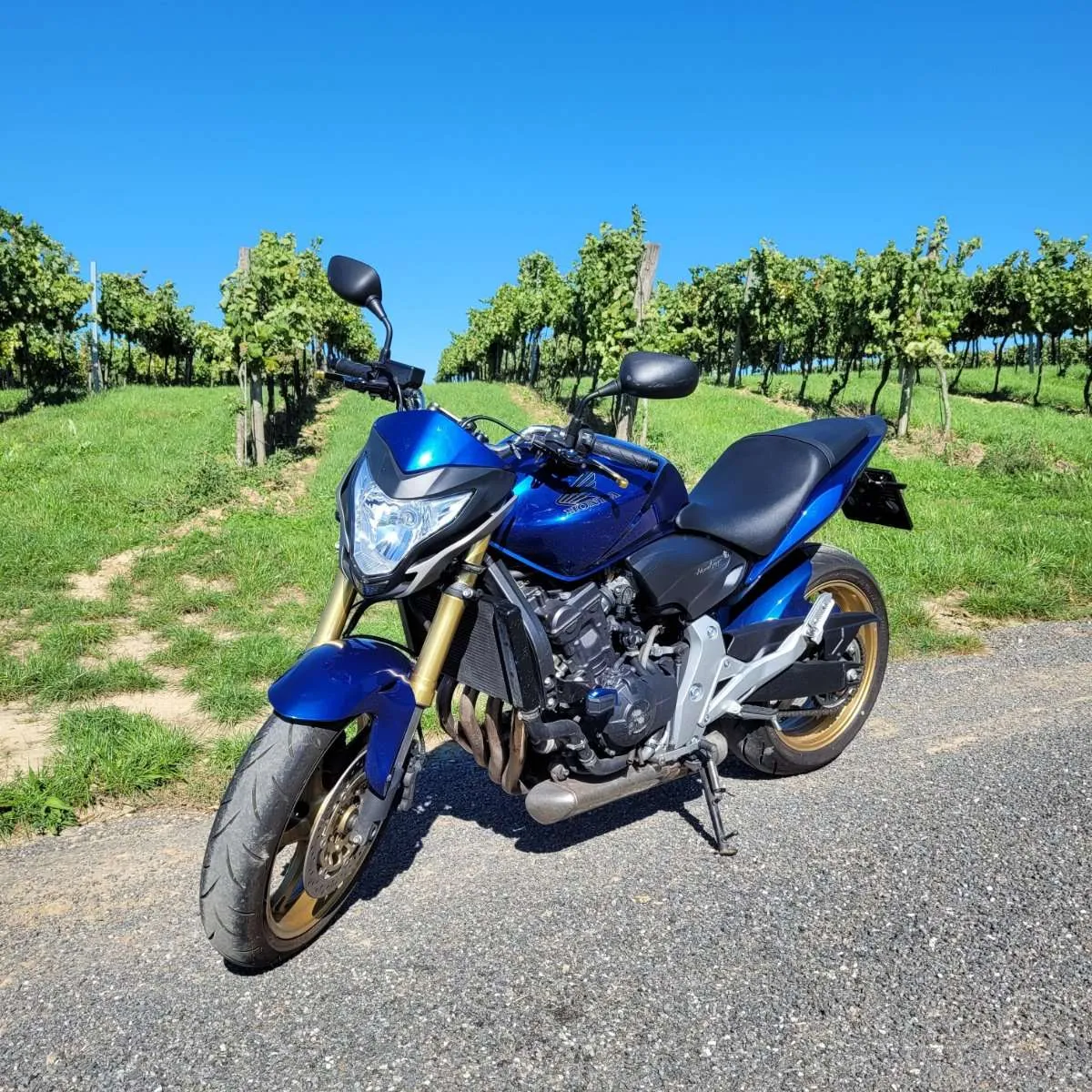 Honda Hornet