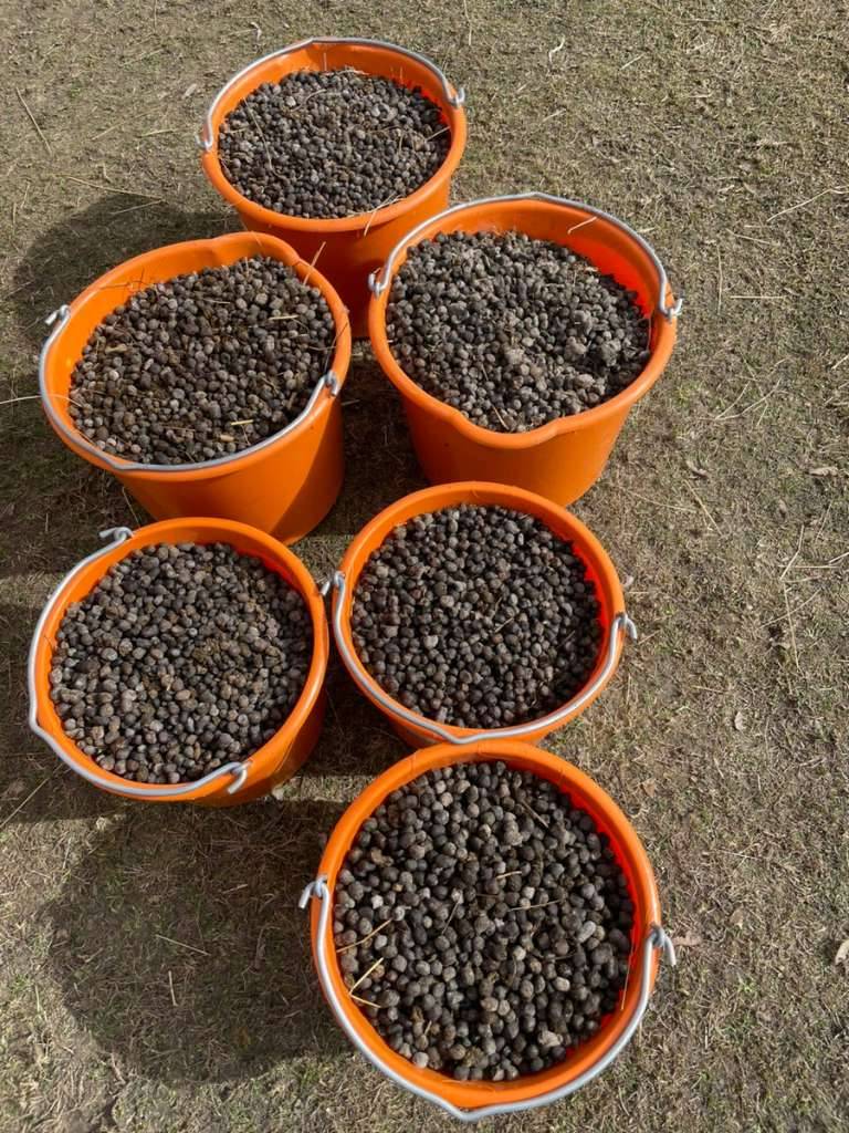 npk dnger fr erdbeeren Purgrn Bio-Erdbeerdnger 1 kg