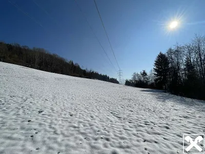 Grundstück kaufen in Klagenfurt Land – 29 738 m², € 110.000 – Bild 4 von 8